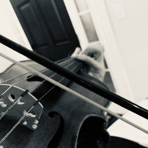 Meet your Posher, Chloe